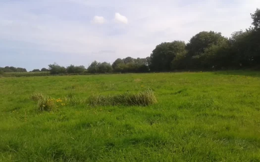 Terrain de 620 m² à Trémaouézan – 72 200 €